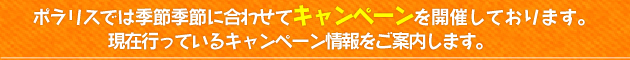 ポラリスでは季節季節に合わせてキャンペーンを開催しております。現在行っているキャンペーン情報をご案内します。